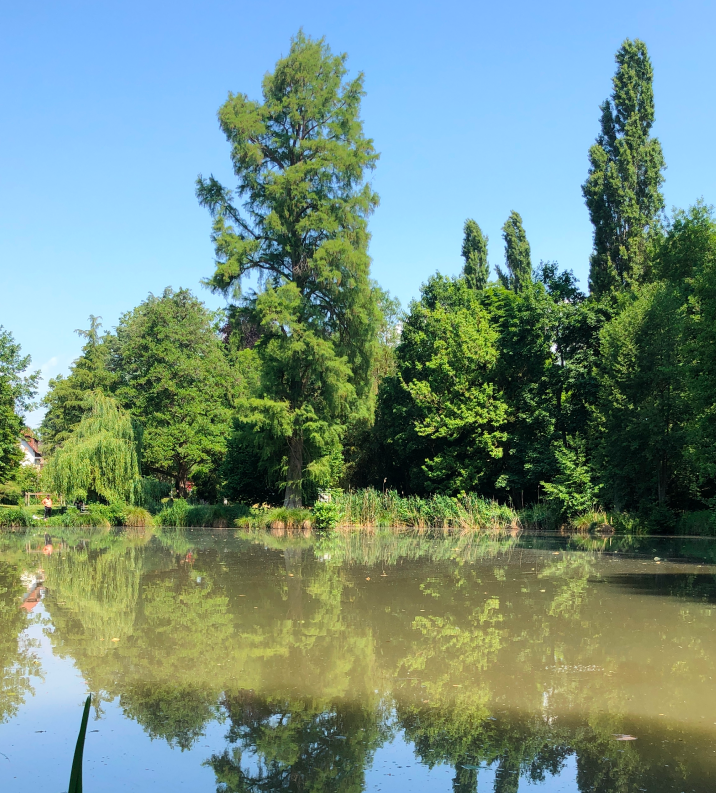 Parcs et  espaces naturels