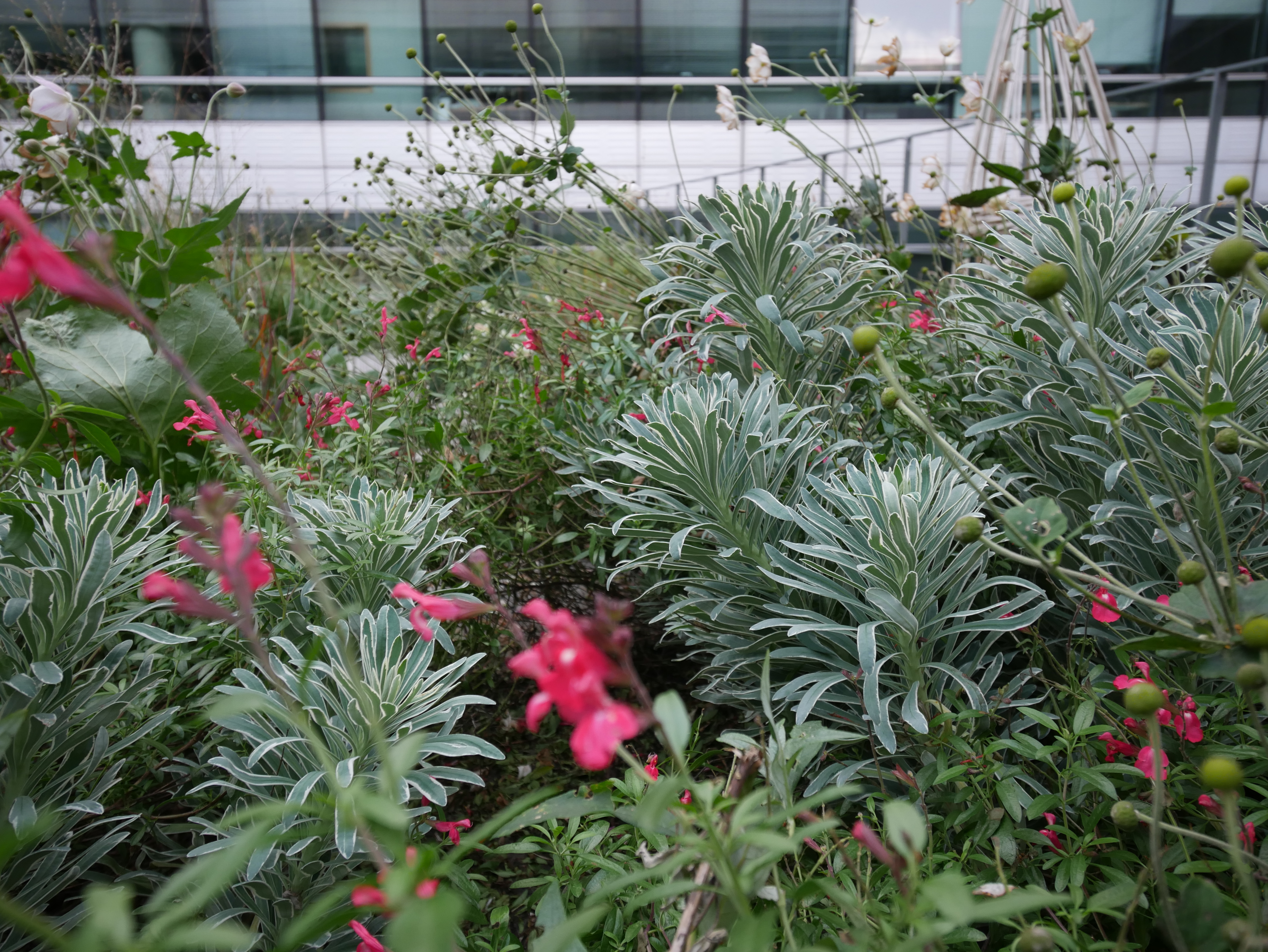P1250259