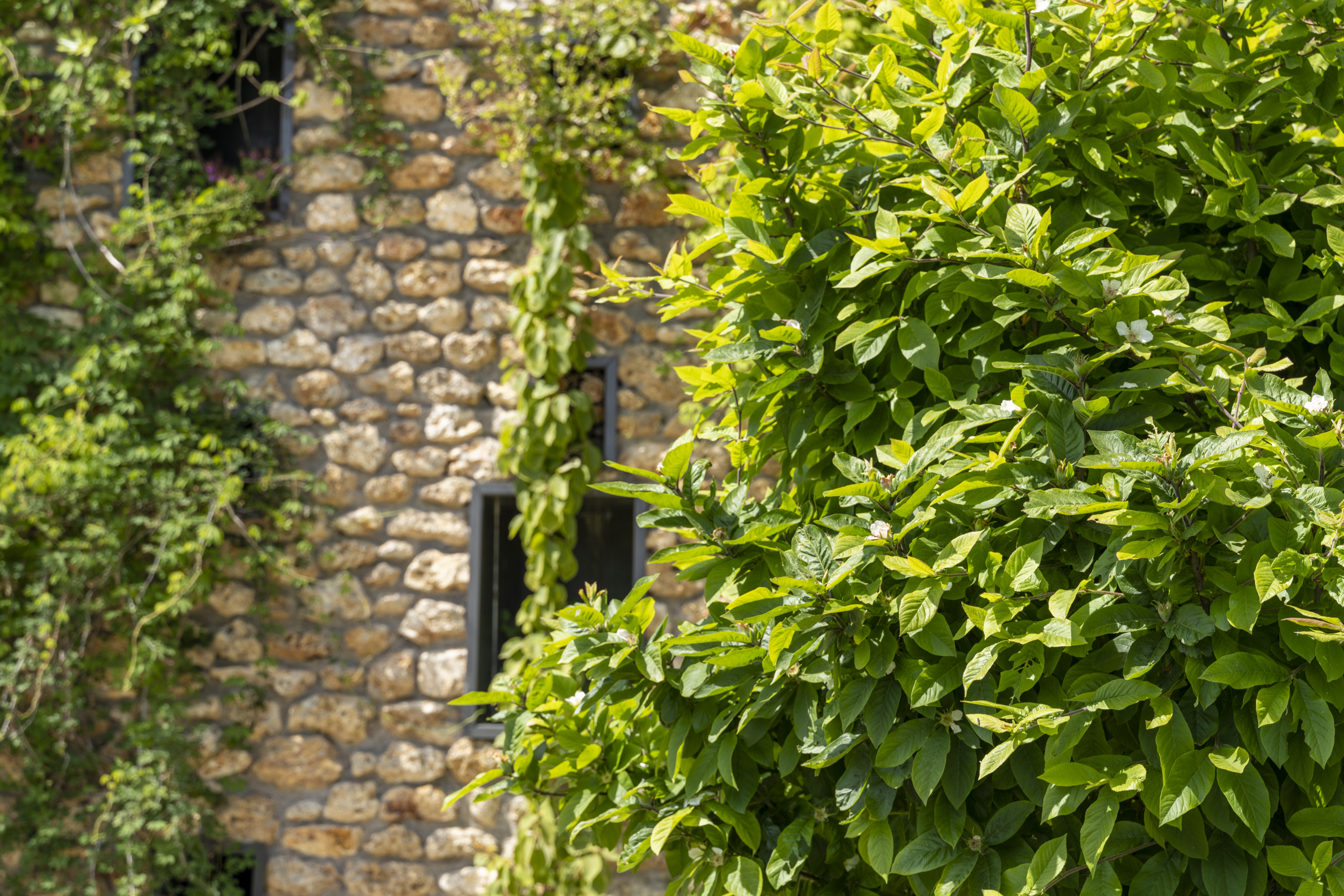 Les Alluets-le-Roi, 78580